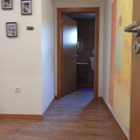 Suites Passadicos Do Paiva E Ponte Suspensa Cinfães Extérieur photo